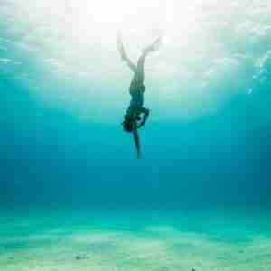 Padi eLearning Advanced Freediver