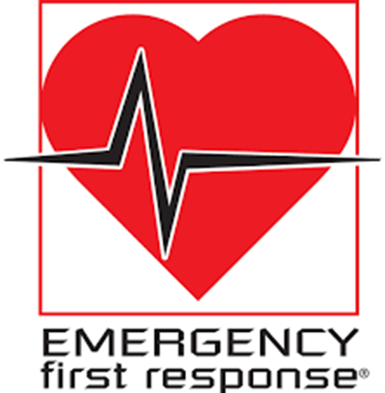 Padi eLearning EFR/CPR AED
