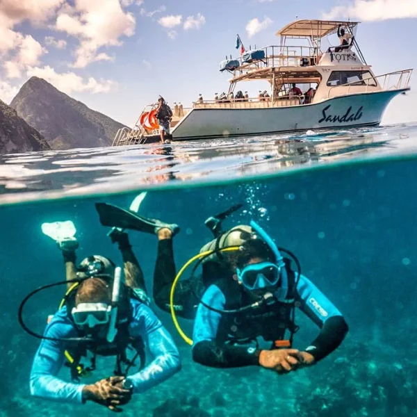 Padi eLearning Boat Diver