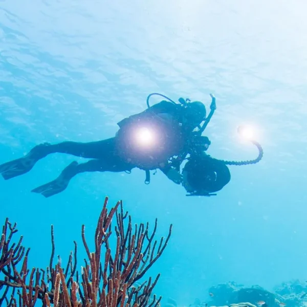 Padi eLearning Digital Underwater Photographer