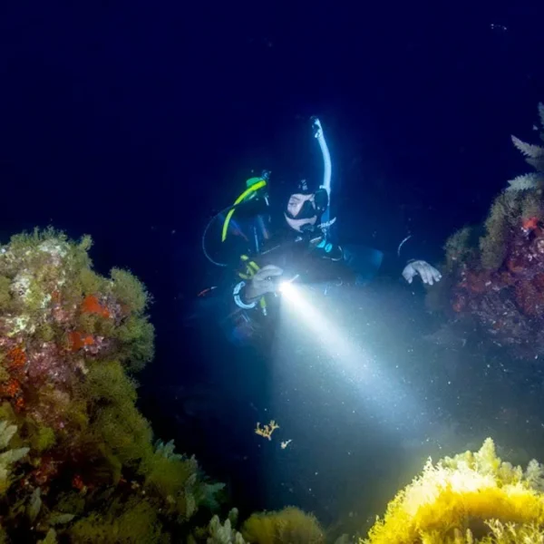 Padi eLearning Night Diver