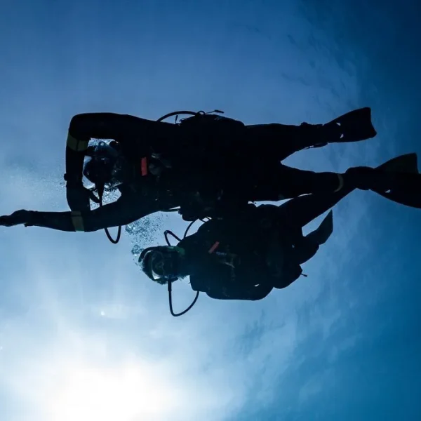 Padi eLearning Underwater Navigator