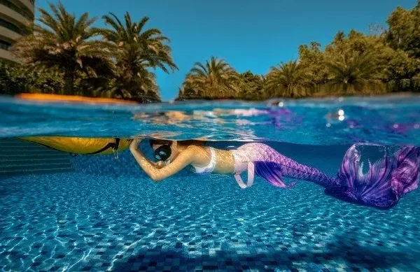 Padi eLearning Discover Mermaid