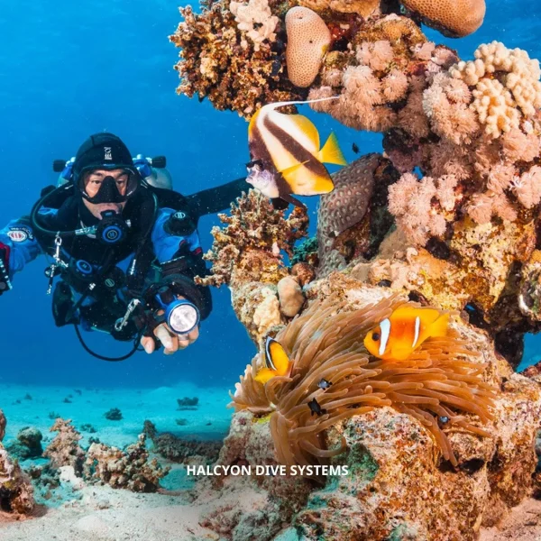 PADI Crewpack Tec Basics eLearning